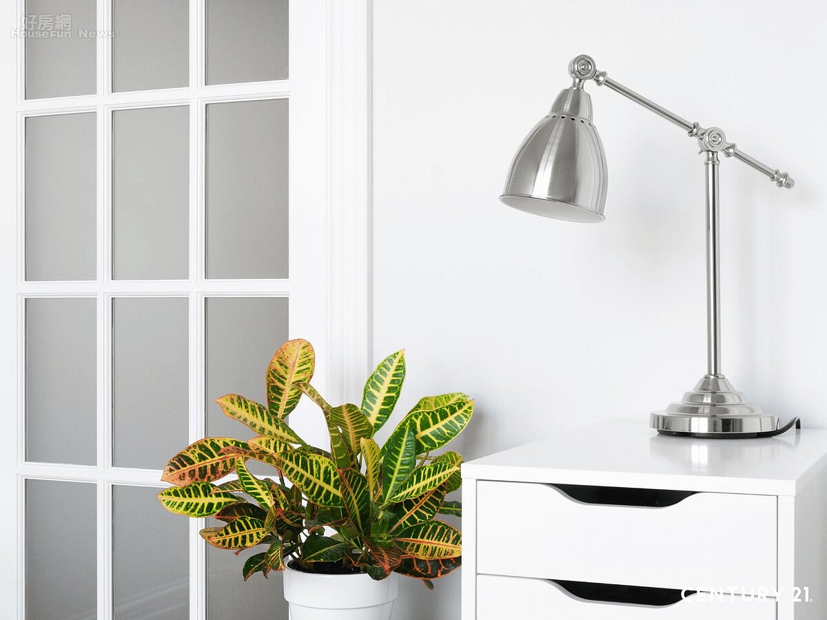 植物是最自然也最具象徵意義的招財元素（圖片來源／21世紀不動產）