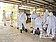 又檢出H5N2　新豐撲殺萬隻鴨