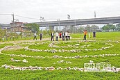 全台首見　竹縣食物森林開張