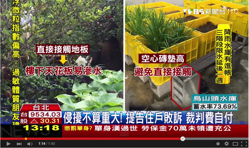 除了使用空心磚墊高盆栽外,也可以準備桌子等其他道具,避免盆栽直接接觸地板。(翻攝自TVBS新聞Youtube)