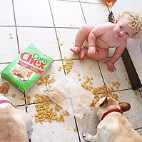 小孩究竟有多惡魔？＂Kids Are the Worst＂大秀使壞照