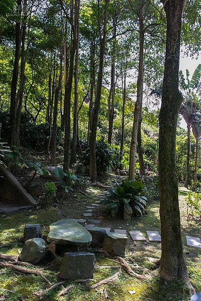 社區一角落,綠樹成蔭。