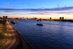 台灣熱錢海外流竄 今年挑戰成交5000戶