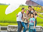 大雨打壞彩稻節　遊客撲空