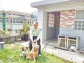 老校犬新狗窩　坐擁無敵景觀