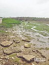 大甲美麗溼地　鄉親爭取保育