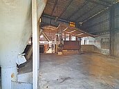 非洲豬瘟案　中市官員未列被告