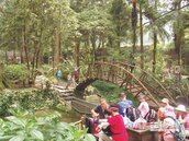 台大林管處　推溪頭療癒森林