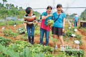 市民農園啟動　自己的菜自己種