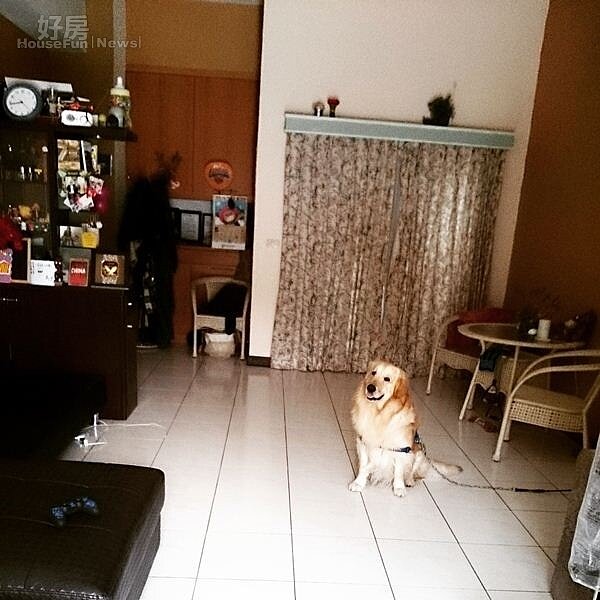 5.李厚豪透露自己超愛乾淨是因為怕蟑螂,大部份傢俱部份也都挑選簡單好擺的為主,方便清理之外也較不易堆積灰塵。