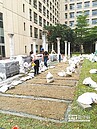 田園銀行來了　3區開放認養