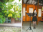 玉里油桐花季　紅紅嘴唇唱彎彎