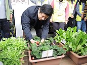 天龍國也能耕田種菜？　柯p想讓台北變田園城
