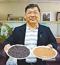 台農秈糯　紫米紅米技轉民間