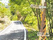 大窩璀璨地上星　揪團賞螢去