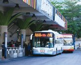 高雄公車2段收費　增31條路線