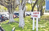 陸軍司令部營門土地　遭查封