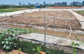 竹市國有農地「改良」　慘遭開挖填土石