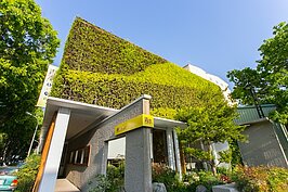 外牆植披充滿著嫩芽青青的樹木，讓人身心舒展。當沒空塞車去森林時，就來青木吃飯吧。