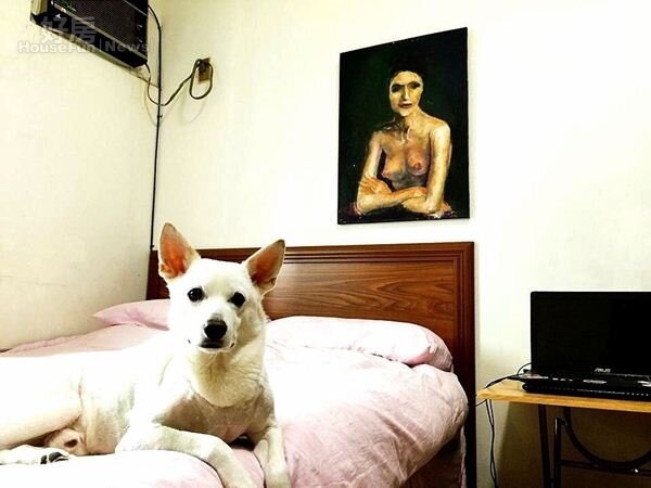 
6.利晴天的愛犬可以隨意上下他的床，而床頭的畫作是妹妹畫的，因為給利晴天一種寧靜的感覺，因此將它掛在床頭。