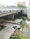 新竹和平橋下七袋垃圾…　一周了沒人處理
