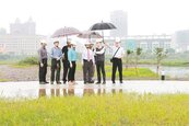 竹市柯子湖濕地引水　6月開放遊憩