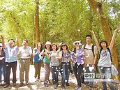 桐花走廊　苗栗祕境大飽眼福