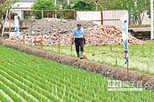 宜蘭嚴管玩真的　農舍市場冷颼颼