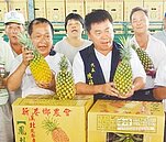 農藥超標恐慌效應　鳳梨價格腰斬