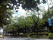 4～6點空氣鮮　外出運動要趁早