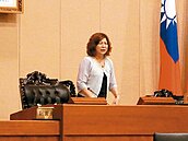 議長議員對罵　停車場經費卡關