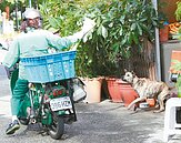 家有惡犬　郵差6月不上門