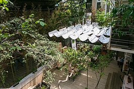 現在草木濃郁的樣子，很難想像這裡以前是釣蝦場。