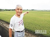 「感謝天公伯」　後壁稻田不淹了