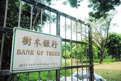 北市樹木銀行　為五百棵樹找新家