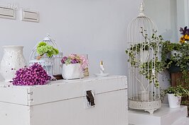 乾燥花與鮮綠色的植栽，在白色的牆面對比下更顯得清新脫俗的。