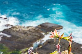 鼻頭國小海景。