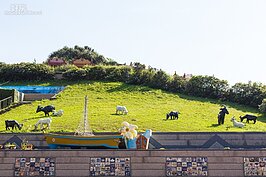 鼻頭國小最為特殊景觀就是放牧的山羊。