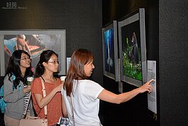 目前是免門票就可進入參觀