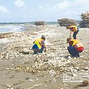 蚵架沖上岸　台南海灘遭浩劫