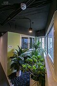 走廊轉角處種滿了綠色植物。