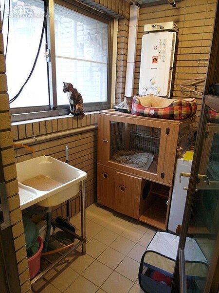 8.後陽台大約1坪,除了洗衣機、熱水器,還有兩隻可愛的寵物貓。