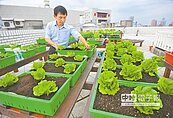推廣樓頂種菜　前後市長同調